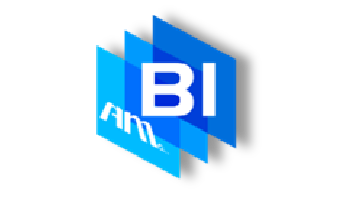 AM Cloud BI